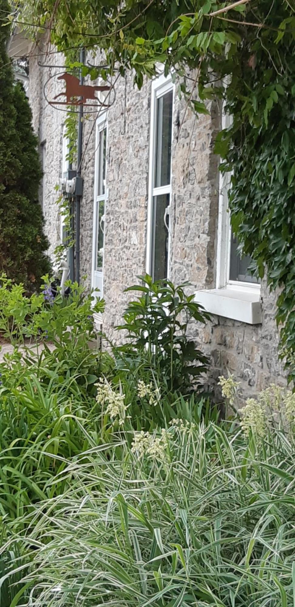 픽턴 Stone Carriage House 빌라 외부 사진